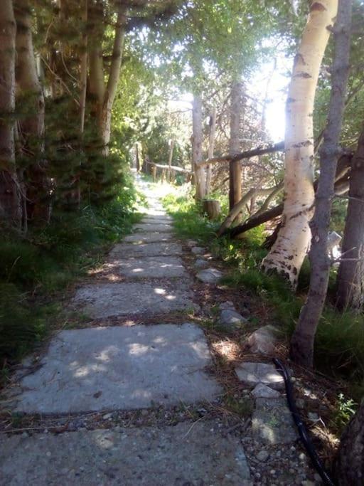 En Parc Natural Del Ter 2000 Metres * Setcases