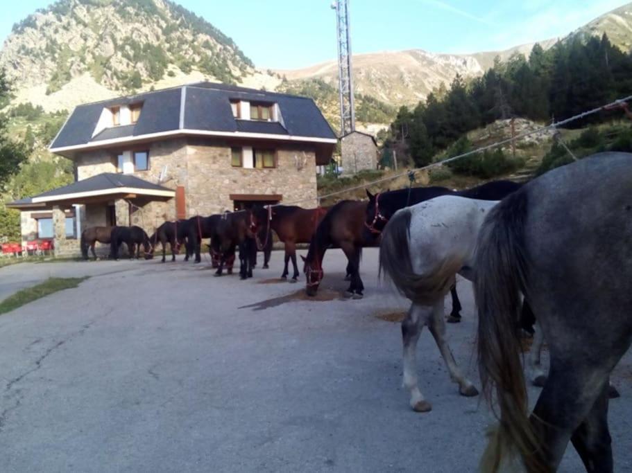 En Parc Natural Del Ter 2000 Metres Chalet Setcases