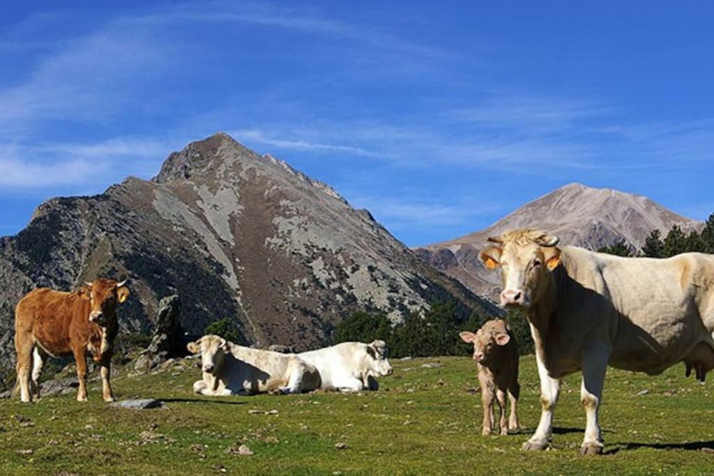 Chalet En Parc Natural Del Ter 2000 Metres Setcases